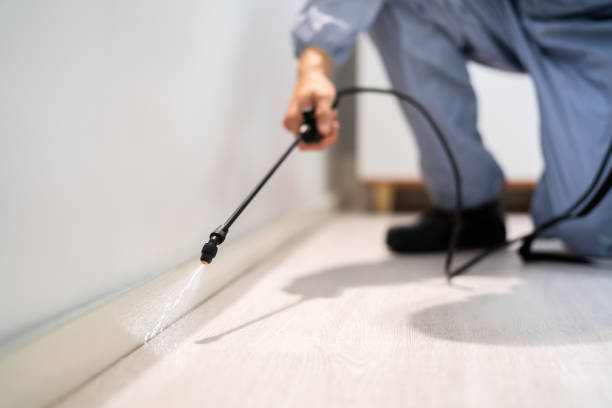 Licensed Termite Control service in Amite County County, MS - Nex Pest Control