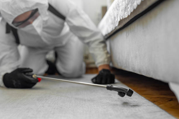 Professional Termite Control technician working in Amite County County, MS